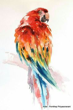 a watercolor painting of a colorful parrot perched on a branch