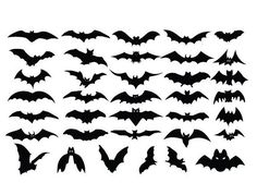 the silhouettes of bats on a white background stock photo 388796