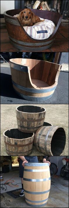 there is a dog that is laying in a barrel bed on the ground next to some barrels