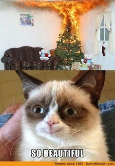 two pictures one with a cat and the other with a christmas tree on fire in the background