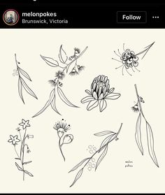 an image of flowers drawn in black and white on a cell phone with the caption's name below it