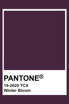 pantone's blackberry wine color is shown in the frame, and it appears to be dark purple