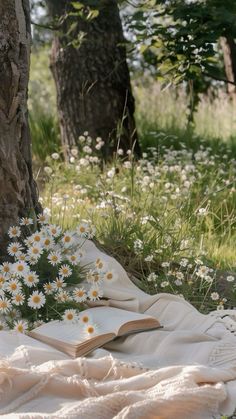 an open book on a blanket under a tree with daisies in the foreground