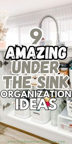 an organized kitchen area with the words amazing under the sink organization ideas on it's side