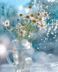 daisies are in a glass vase on a window sill