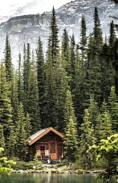 there is a cabin in the middle of some trees and water with mountains in the background