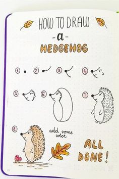 an illustrated book about hedgehogs and how to draw them with markers on the page