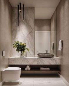 a white toilet sitting next to a bathroom sink under a large mirror above it's counter