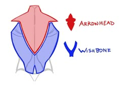 how to draw an origami arrow in the shape of a wishbone with step by step instructions