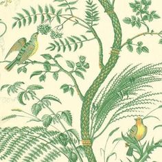 a drawing of birds sitting on top of a tree next to green leaves and plants