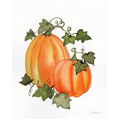 Pumpkin And Vines I Poster Print by Kathleen Parr McKenna-VARPDX38709 Image 1 Pumpkin Images, Watercolor Ideas, Muted Blue, Fine Arts Posters, Atlantic Ocean, Decor Artwork, Orange Brown