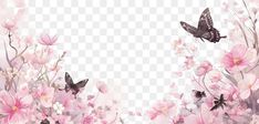 pink flowers and butterflies on a transparent background