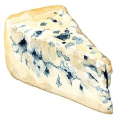 a piece of cheese with blue spots on it's surface is shown in this watercolor drawing