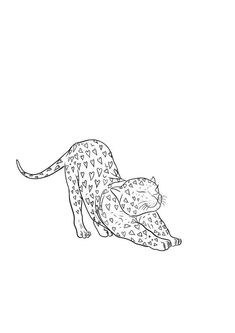 a black and white drawing of a cheetah laying on it's back