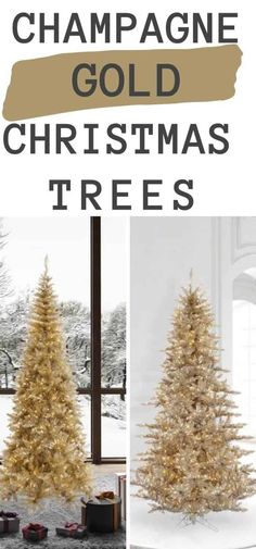 champagne gold christmas trees with text overlay that reads champagne gold christmas trees