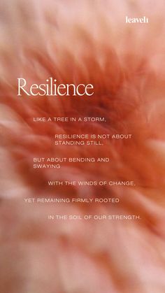 the back cover of resilince, with an image of feathers and words on it