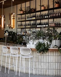 a bar with white chairs and shelves filled with bottles on the wall, potted plants behind it