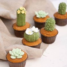 small cupcakes decorated with cactus and flowers