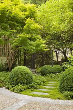 a stone path surrounded by trees and bushes