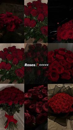 red roses are arranged in multiple images