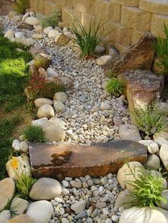 a garden with rocks and plants in it