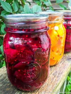 three jars filled with different colored liquid sitting on top of a wooden table next to plants