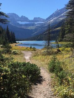 a trail leading to a lake in the mountains