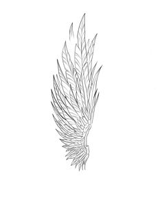 a black and white drawing of a bird's wing with long, thin feathers