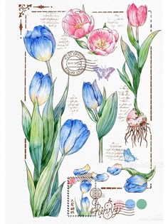 watercolor painting of blue and pink flowers on white paper with words in the middle