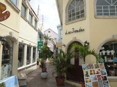 a narrow street lined with buildings and potted plants in front of the storefront