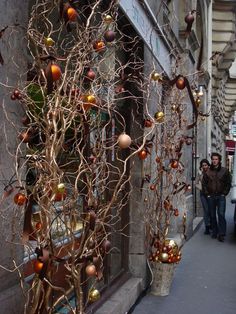 a tree with ornaments hanging from it's branches on the side of a building