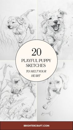 four different pictures with the words playful pupp sketches to melt your heart on them