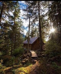 a log cabin nestled in the woods on a sunny day with sun shining through the trees