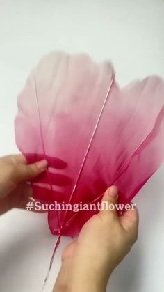 a person is holding pink feathers in their hand