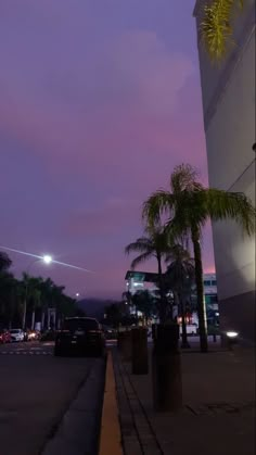 palm trees line the sidewalk in front of an office building at night with lights on