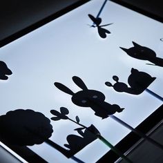 the shadow of rabbits and flowers is projected on a glass surface with lights in the background