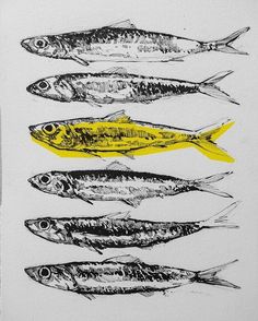 five fish lined up in a row on a white paper with black and yellow ink