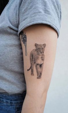 Lion Tattoo On Arm For Women, Animal Tattoo Realistic, Lioness Walking Tattoo, Walking Lion Tattoo, Realistic Lioness Tattoo, Lion Body Tattoo, Big Cat Tattoos, Cheetah Tattoo For Women, Realistic Animal Tattoos