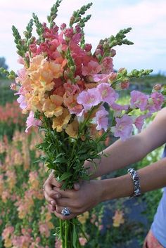 a person holding a bouquet of flowers in their hands