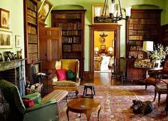 a living room filled with lots of furniture and bookshelves next to a fire place