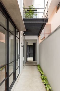 an empty hallway with plants growing on the floor and balconies to the side