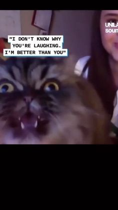 a woman holding a cat with its mouth wide open and the caption that says, i don't know why you're laughing it'm better than you?