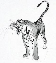 a black and white drawing of a tiger standing on the ground with it's mouth open