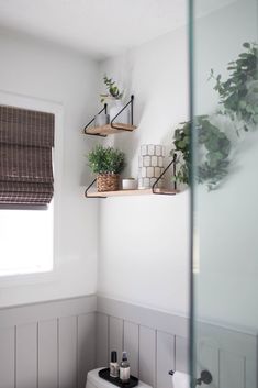 a white toilet sitting next to a bathroom sink under a window with plants on the shelves