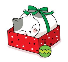 a white cat sleeping in a red box with a green christmas ornament hanging from it's side