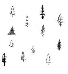 trees are drawn in black ink on white paper