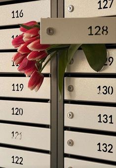 a bunch of flowers sitting on top of a mailbox with numbers and date marks