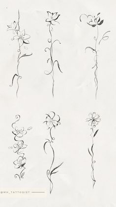 six different types of flowers drawn on paper