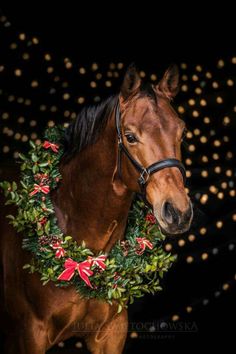 a brown horse with a wreath around its neck standing in front of a black background