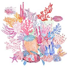 an image of colorful corals and sea animals